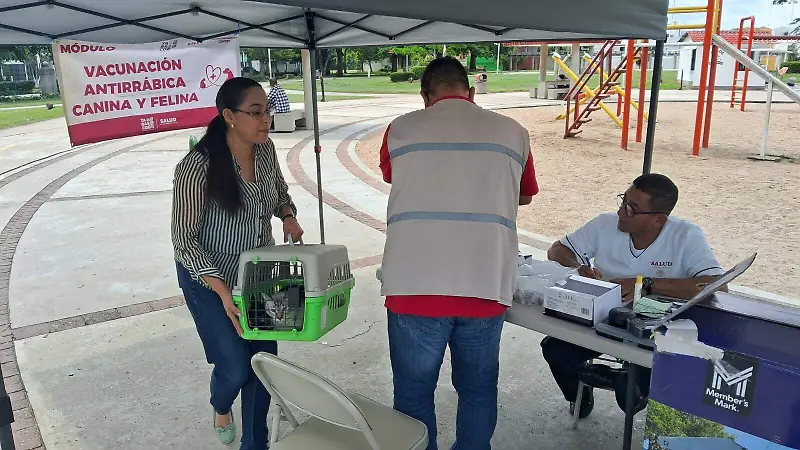 campaña esterilizacion animal capu ff.jpeg